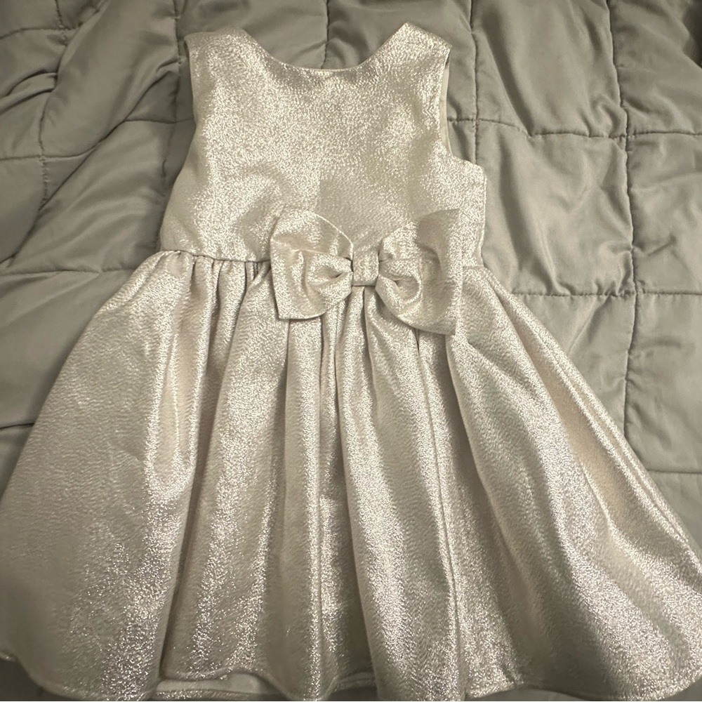 H&M Shimmering Champagne Kids Dress
